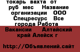 токарь. вахта. от 50 000 руб./мес. › Название организации ­ ООО Спецресурс - Все города Работа » Вакансии   . Алтайский край,Алейск г.